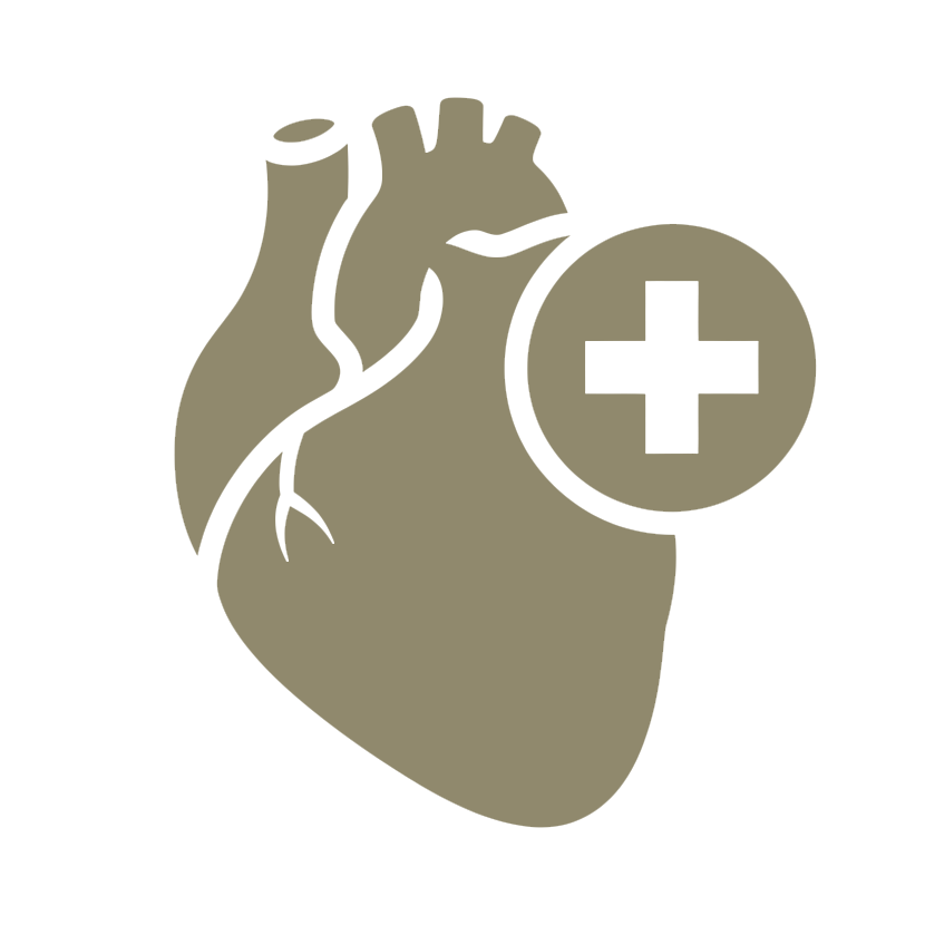 Diagnostic icon