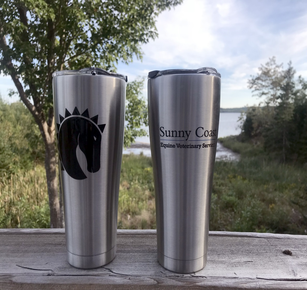 Tervis stainless steel